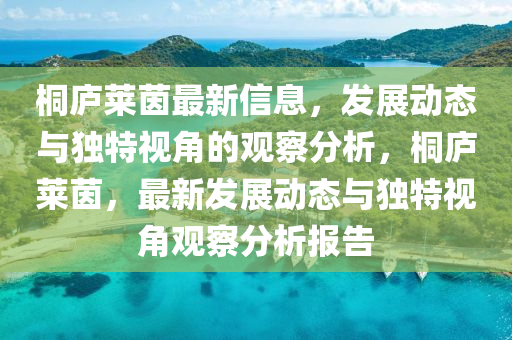 桐庐莱茵最新信息,发中山市多米克自动化设备有限公司展动态与独特视角的观察分析,桐庐莱茵,最新发展动态与独特视角观察分析报告
